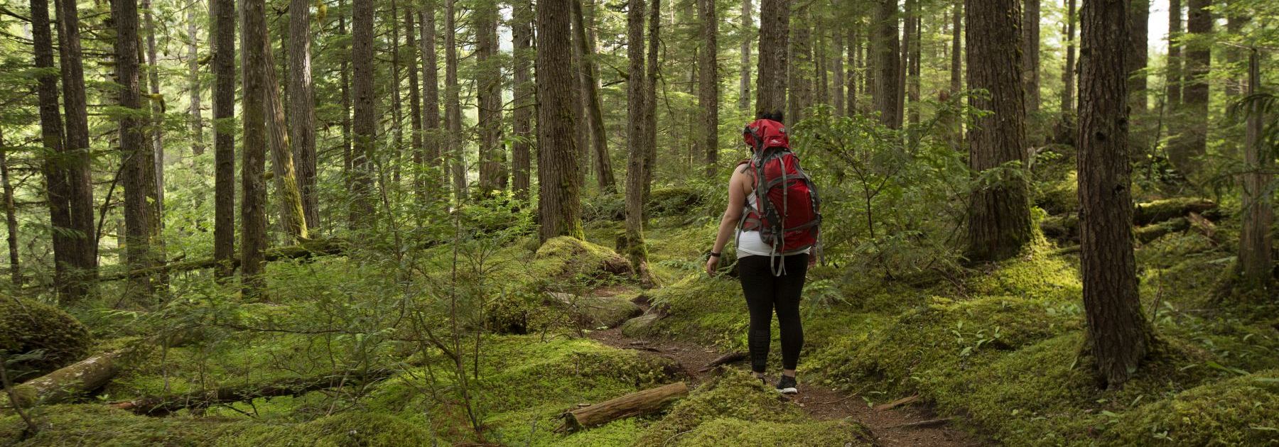 Building a Stronger  North Shuswap Through Trails and Outdoor Recreation
